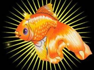 Золотая рыбка тоже знает, что вы делаете не так и ЧТО ДЕЛАТЬ